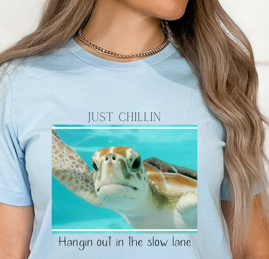Sea Turtle Just Chillin, Hangin out in the slow lane the Turtle